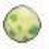 kiwi_bird