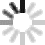 oetzi